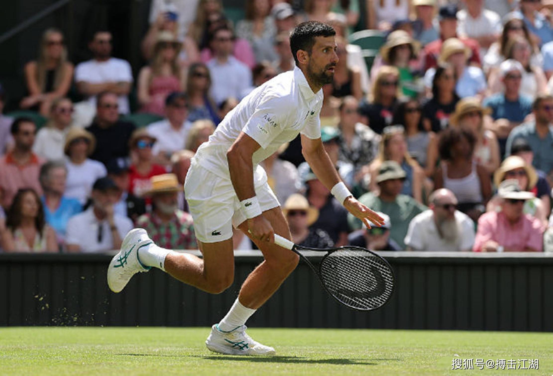 联合杯横扫年终总决赛，德约科维奇统治全场