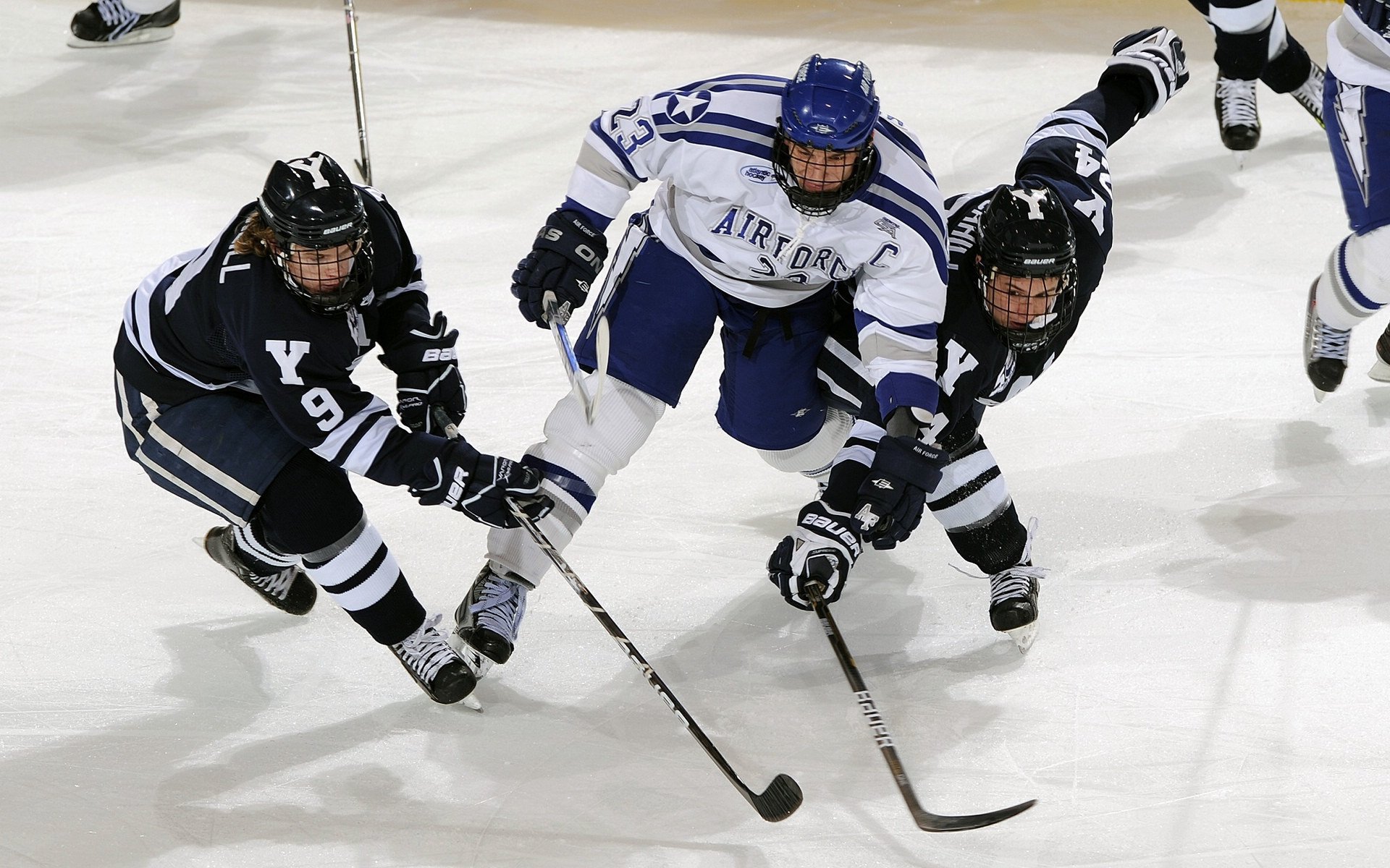 森林狼终结公牛，保罗在年度焦点之战接管比赛