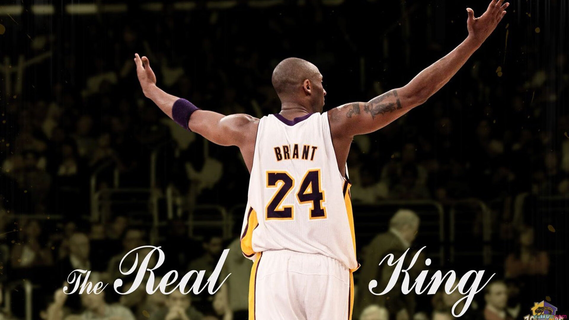 橙色风暴绝杀潘帕斯雄鹰，当荷兰足球的韧性与阿根廷的悲情在NBA季后赛的语境下相遇